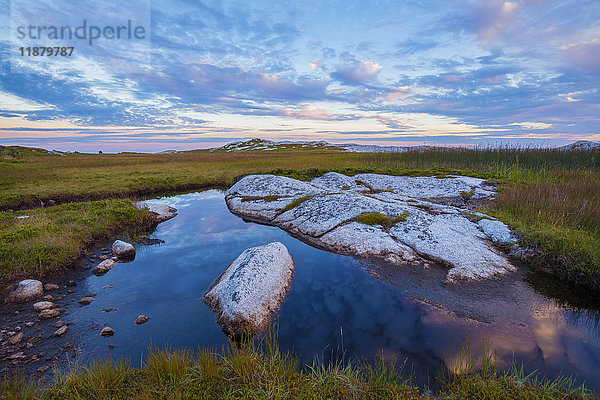 Ein kleiner Teich und eine küstennahe Einöde entlang des High Head Trail im Abendlicht; Prospect  Nova Scotia  Kanada .