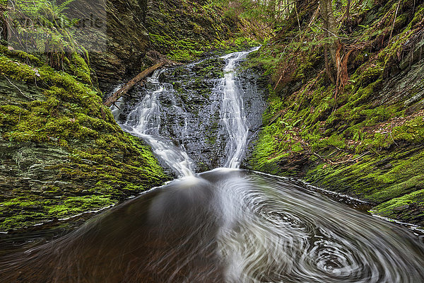 Wasserfall und Tümpel in einer moosbewachsenen Waldschlucht im Frühling am Old Sanford Brook bei West Gore; Nova Scotia  Kanada'.