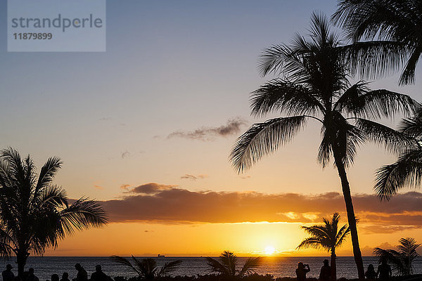 Silhouettierte Palmen und Touristen an der Küste mit Blick auf einen goldenen Sonnenuntergang und den ruhigen Ozean; Hawaii  Vereinigte Staaten von Amerika'.