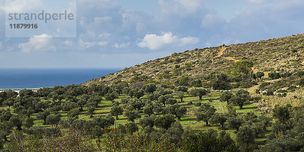 Landschaft mit einem baumbestandenen Hügel und Wasser in der Ferne unter einem bewölkten Himmel; Ein Hod  Bezirk Haifa  Israel'.