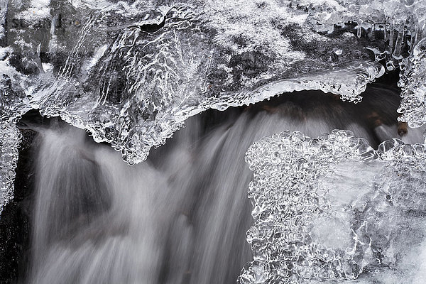 Ein kleiner Wasserfall und Eis Anfang März  Horse Pasture Brook  ein geschütztes Wildnisgebiet; Wentworth Valley  Nova Scotia  Kanada'.