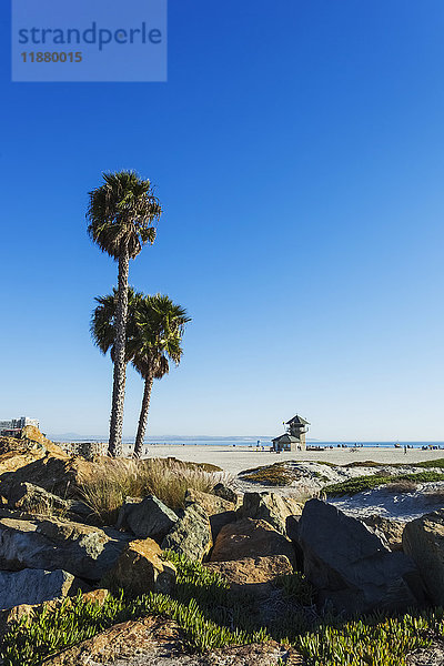 Palmen und Felsen am Strand mit Blick auf den Ozean; Kalifornien  Vereinigte Staaten von Amerika'.
