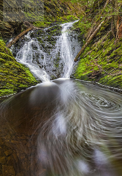 Wasserfall und Tümpel in einer moosbewachsenen Waldschlucht im Frühling am Old Sanford Brook bei West Gore; Nova Scotia  Kanada'.