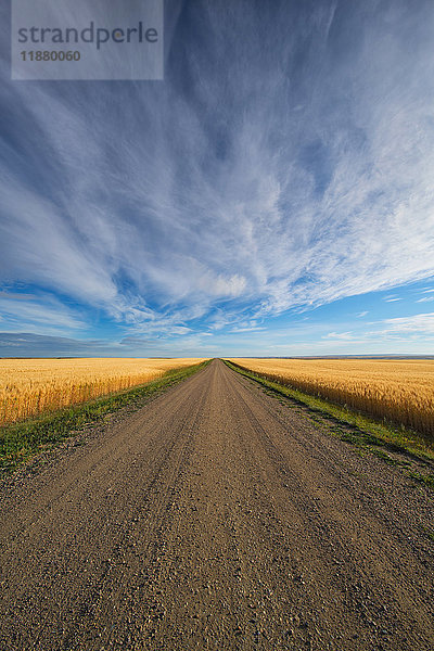 Eine Schotterstraße  die durch Kanadas Prärien im ländlichen Saskatchewan führt; Val Marie  Saskatchewan  Kanada'.