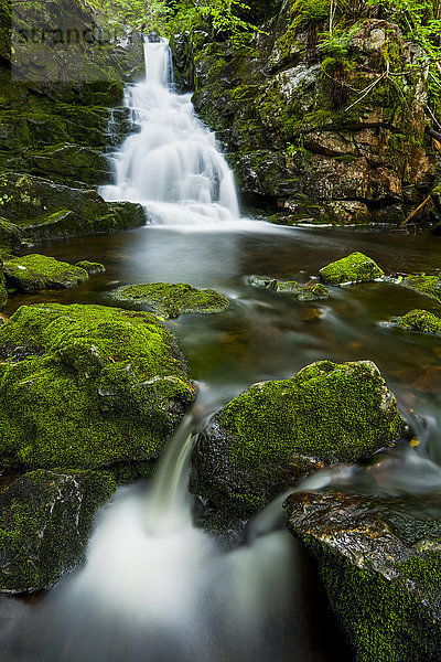 Wasserfall und moosbewachsene Felsen  Ostarm des Great Village River  nahe Wentworth Valley; Neuschottland  Kanada'.
