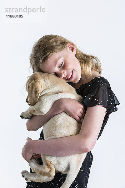 Ein lächelndes junges Mädchen umarmt einen Labrador-Welpen vor einem weißen Hintergrund; Anchorage  Alaska  Vereinigte Staaten von Amerika'.