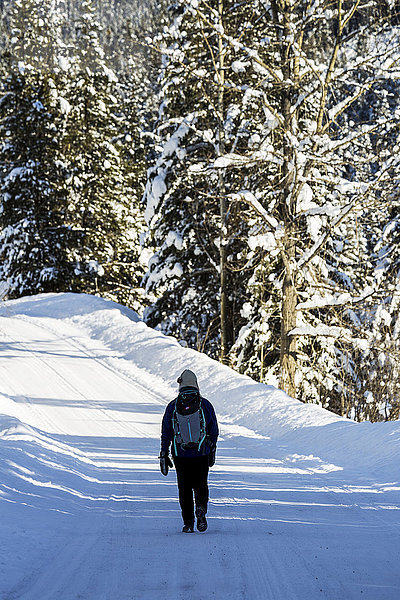 Frau geht entlang einer verschneiten Straße mit schneebedeckten Bäumen; Invermere  British Columbia  Kanada'.