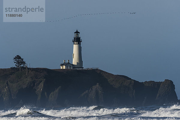 Kormorane (Phalacrocoracidae) fliegen über dem Yaquina Head Lighthouse an der Küste von Oregon; Newport  Oregon  Vereinigte Staaten von Amerika'.