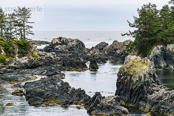 Der felsige Aussichtspunkt einer abgelegenen Meeresbucht an der zerklüfteten Westküste von Vancouver Island entlang des Leuchtturm-Wanderwegs; Ucluelet  British Columbia  Kanada'.