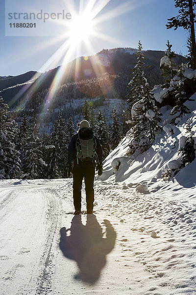 Silhouette einer Frau  die eine schneebedeckte Straße mit schneebedeckten immergrünen Bäumen entlangläuft  Schatten der Spaziergängerin und Sonne mit blauem Himmel; Invermere  British Columbia  Kanada'.