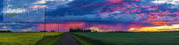 Dramatischer farbiger Himmel bei Sonnenuntergang über grünem Ackerland und einer Landstraße; Alberta  Kanada'.