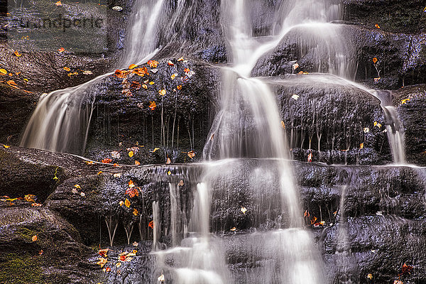 Herbstlich gefärbte Blätter und Wasserfall am MacInnis Brook  in der Nähe von West Gore; Nova Scotia  Kanada'.