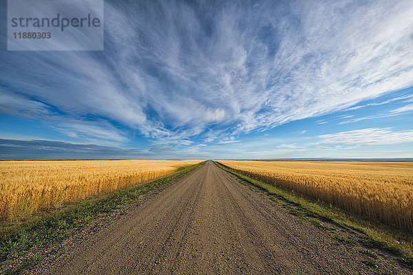 Eine Schotterstraße  die durch Kanadas Prärien im ländlichen Saskatchewan führt; Val Marie  Saskatchewan  Kanada'.