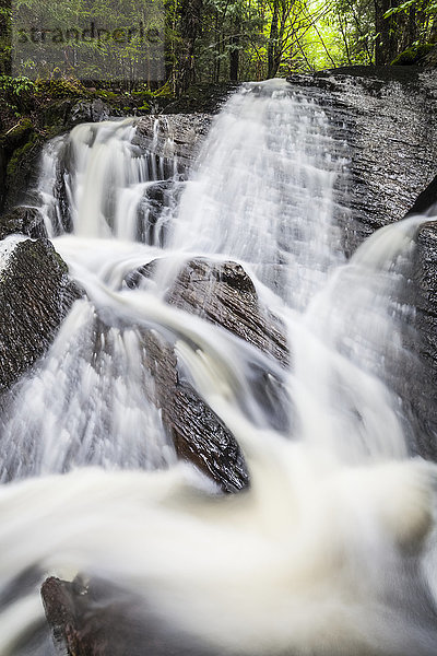 Ein Wasserfall plätschert eine felsige Böschung in einem Wald hinunter; Middle Sackville  Nova Scotia  Kanada'.