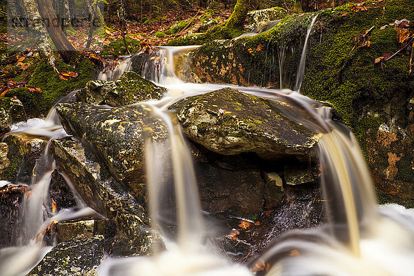 Kleiner Wasserfall im Wald im Herbst; Bedford  Nova Scotia  Kanada'.