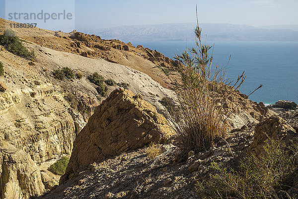 Trockene Landschaft und Totes Meer; Süddistrikt  Israel .