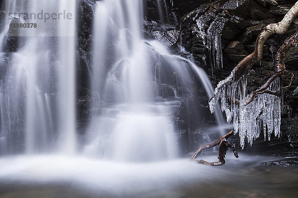 Wasserfall und Eiszapfen am Wood Brook im Spätherbst; Fall River  Nova Scotia  Kanada'.