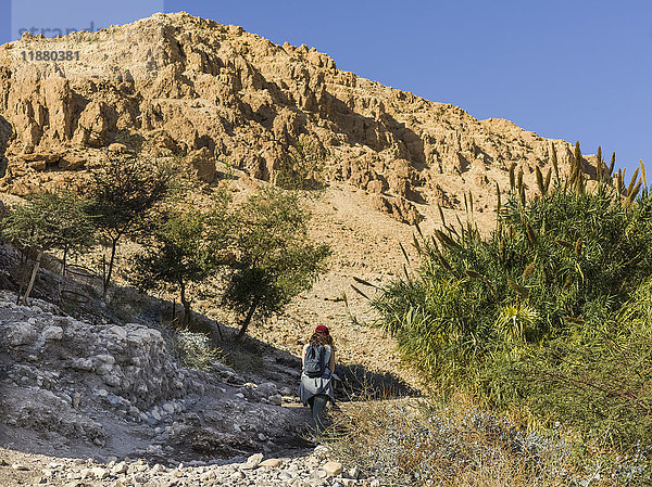 Eine junge Frau wandert auf einem Pfad durch die zerklüftete Hügellandschaft des Naturreservats Ein Gedi  Bezirk Totes Meer; Region Süd  Israel '