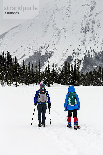 Zwei Frauen beim Schneeschuhwandern in den Bergen  östlich von Field; British Columbia  Kanada '