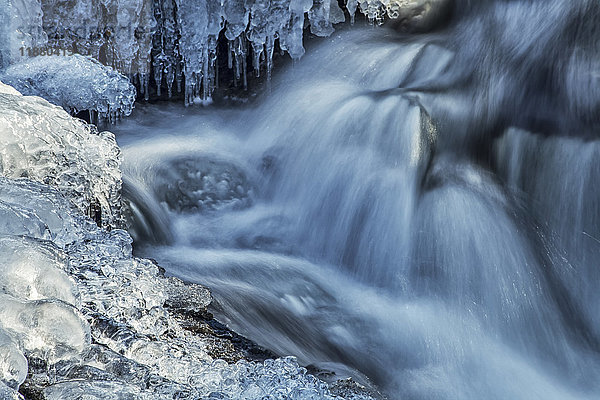 Eiszapfen und blau schattierte Kaskaden an einem kleinen Wasserfall; Enfield  Nova Scotia  Kanada