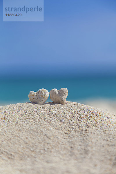 Zwei weiße herzförmige Korallenfelsen  die zusammen auf Sand am Strand liegen; Honolulu  Oahu  Hawaii  Vereinigte Staaten von Amerika