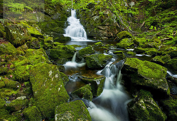 Wasserfall und moosbewachsene Felsen  Ostarm des Great Village River  nahe Wentworth Valley; Neuschottland  Kanada'.