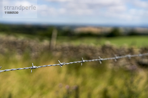 Nahaufnahme des Stacheldrahts an einem Zaun; North Yorkshire  England'.