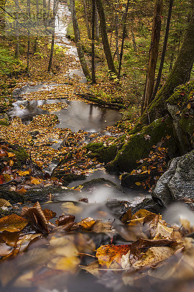 Herbstlich gefärbte Blätter stapeln sich an der Spitze eines Wasserfalls am O'toole Brook in der Nähe von Millers Corner; Nova Scotia  Kanada'.