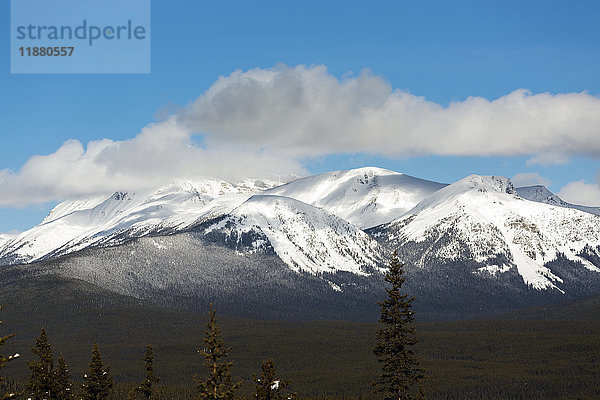 Schneebedeckte Berge  blauer Himmel und Wolken mit Talwald im Vordergrund; Lake Louise  Alberta  Kanada'.