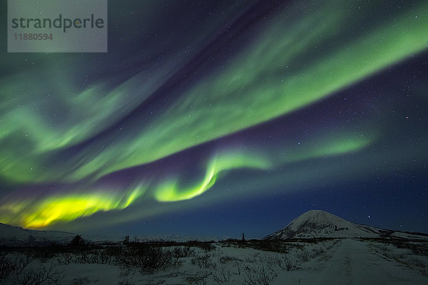 Aurora borealis tanzt über Donnelly Dome  südlich von Delta Junction; Alaska  Vereinigte Staaten von Amerika'.