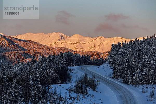 Schneebedeckte leuchtende Berge bei Sonnenaufgang mit schneebedeckter kurvenreicher Bergstraße und schneebedeckten immergrünen Bäumen und blauem Himmel  westlich von Bragg Creek; Alberta  Kanada'.