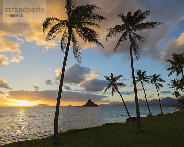 Sonnenaufgang am Kualoa Beach Park mit Blick auf Chinaman's Hat; Kaneohe  Oahu  Hawaii  Vereinigte Staaten von Amerika'.