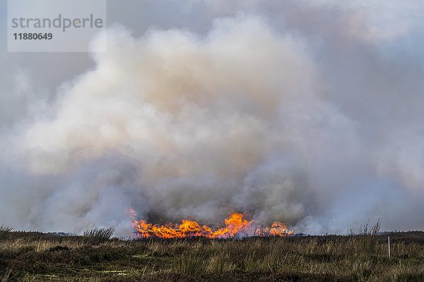 Ein Buschfeuer brennt in einem trockenen Grasfeld; Yorkshire  England'.