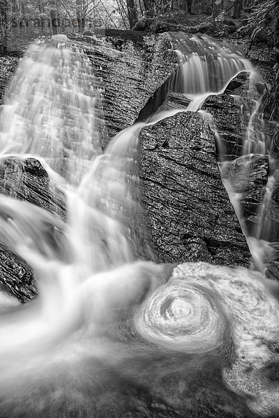 Ein Quellwasserfall im Wald; Middle Sackville  Nova Scotia  Kanada .