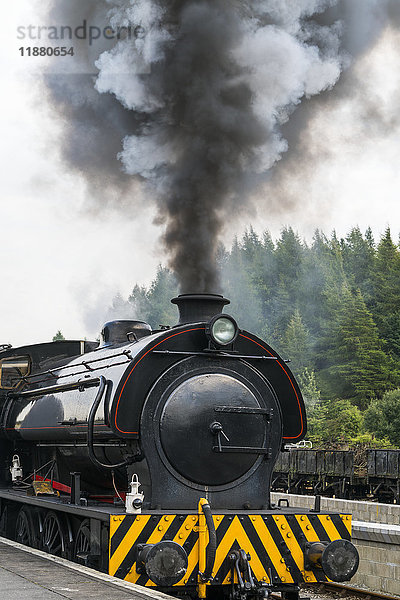 Rauchschwaden aus der Lokomotive eines Zuges; North Yorkshire  England'.