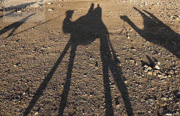 Schatten von Reitern auf Kamelen in der judäischen Wüste; Ezor Beer Sheva  Süddistrikt  Israel