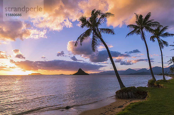 Sonnenaufgang am Kualoa Beach Park mit Blick auf Chinaman's Hat; Kualoa  Oahu  Hawaii  Vereinigte Staaten von Amerika'.