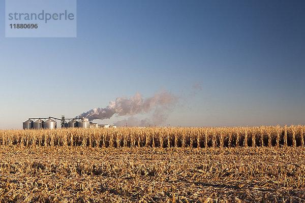 Die Poet Bioraffinerie  ein Ethanolhersteller  und ein Maisfeld in der Nähe von Groton; South Dakota  Vereinigte Staaten von Amerika'.