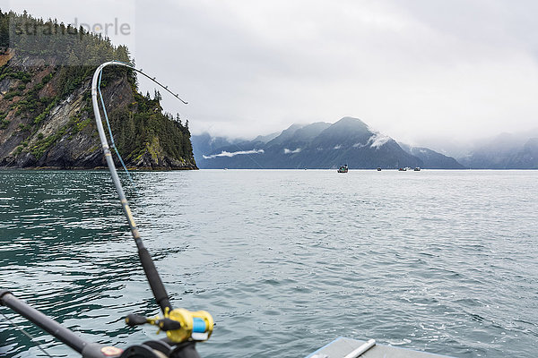 Eine Angelrute biegt sich  als ein Heilbutt an die Leine geht  im Hintergrund die nebligen Kenai Mountains  Resurrection Bay  Süd-Zentral-Alaska; Seward  Alaska  Vereinigte Staaten von Amerika'.