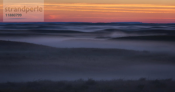 Die Farbe des Sonnenaufgangs und der Nebel hüllen den Grasslands National Park in einen unheimlichen Nebel; Saskatchewan  Kanada'.