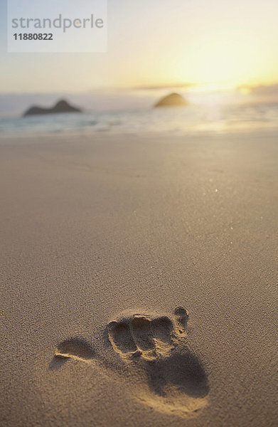 Shaka-Handabdruck im Sand mit Blick auf die Mokulua-Zwillingsinseln und den Ozean bei Sonnenuntergang in der Ferne; Honolulu  Oahu  Hawaii  Vereinigte Staaten von Amerika'.