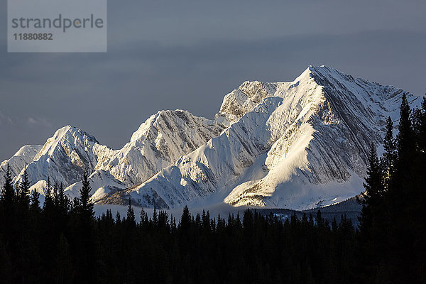 Schneebedeckte Berge im frühen Morgenlicht  Waldsilhouetten im Vordergrund  blauer Himmel und Wolken; Kananaskis Country  Alberta  Kanada'.