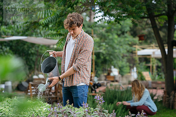 Junger Mann und Frau kümmern sich um Pflanzen im Stadtgarten  Mann gießt Pflanzen mit der Gießkanne