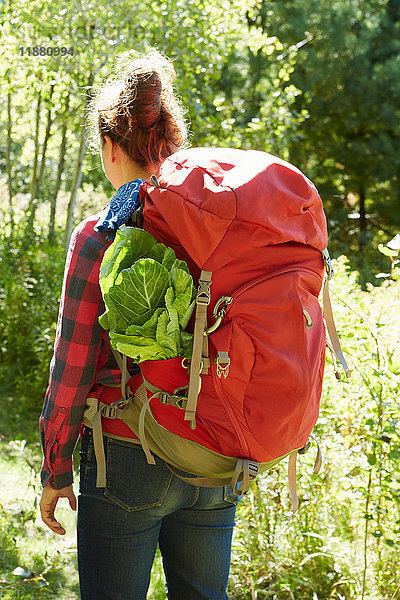 Frau wandert durch den Wald  Rückansicht  Colgate Lake Wild Forest  Catskill Park  Bundesstaat New York  USA