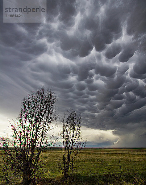 Mammatuswolken in ländlicher Umgebung  Last Chance  Colorado  Vereinigte Staaten  Nordamerika