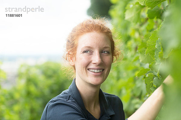 Frau  die im Weinberg arbeitet  Baden-Württemberg  Deutschland