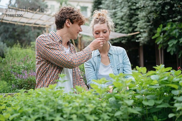 Junger Mann und Frau im Garten  junger Mann hält Pflanze für Frau zum Riechen