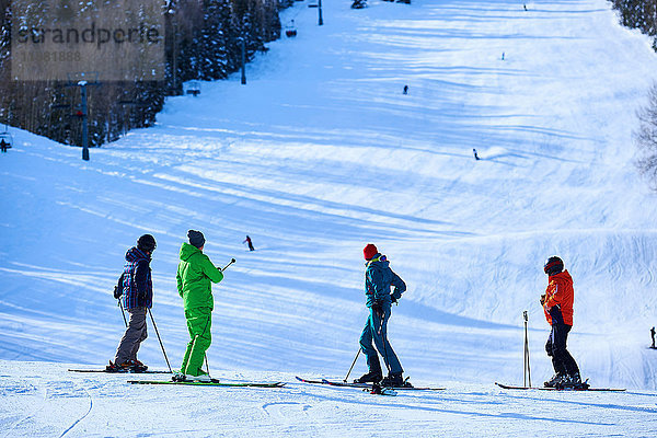 Vier Skifahrer mit Blick auf die Skipisten  Aspen  Colorado  USA