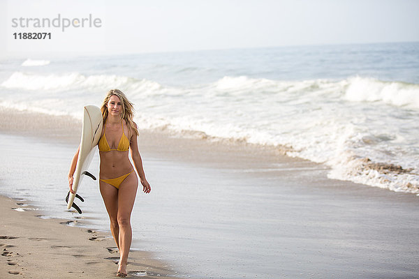 Porträt einer jungen Surferin im Bikini  die ein Surfbrett am Strand entlang trägt  Santa Monica  Kalifornien  USA