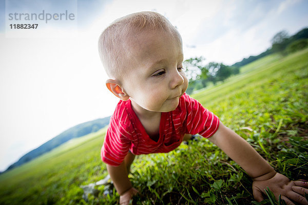 Kleiner Junge krabbelt im Grasfeld auf dem Land